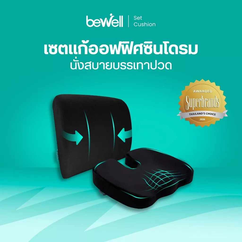 Bewell เบาะรองหลัง size M + เบาะรองนั่งเพื่อสุขภาพ เบาะรองนั่งเก้าอี้ทำงาน ป้องกันออฟฟิศซินโดรม