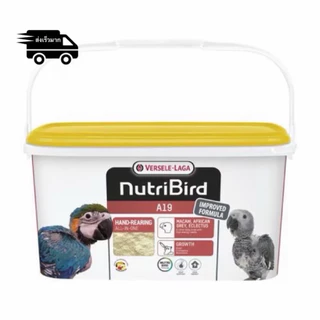 NutriBird A19 อาหารลูกป้อนนก Versele-Laga สูตรไขมันและพลังงานสูง สำหรับมาคอว์ แอฟริกันเกรย์ เอ็กเล็กตัส 3kg ของแท้