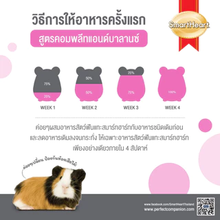 Smartheart สมาร์ทฮาร์ท สัตว์ฟันแทะ คอมพลีต เสริมภูมิ ฟันแทะ หนูตะเภา หนูแกสบี้ เมียแคท ชินชิลล่า แพรี่ด๊อก กระสอบ 15 Kg