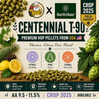 [1 Oz] ฮอปส์ Hops 2024-2025 ขนาดบรรจุ 1 Oz (28 กรัม)