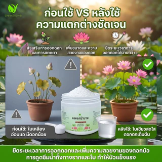 【GreenThumb】ปุ๋ยครบสูตร 7 ชนิด ปุ๋ยละลายน้ำ ปุ๋ยอินทรีย์ สารปรับดิน ดูแลต้นไม้ ดอกไม้ ผัก ผลไม้ กระบองเพชร
