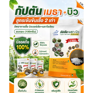 กัปตันเมธาบิว สูตรเข้มข้นเชื้อ 2 เท่า อัพอาหารเชื้อ บิวเวอร์เรีย+เมธาไรเซียม แบบผง(100กรัม)