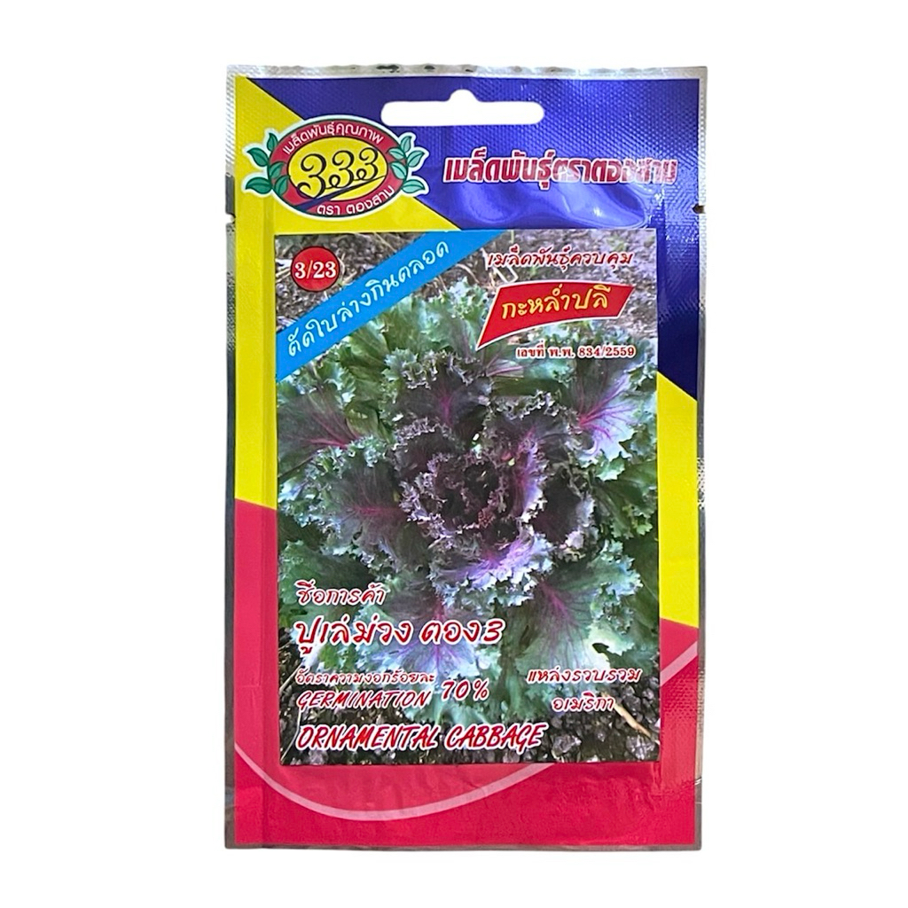 ปูเล่ สีม่วง อเมริกา (20 เมล็ด)