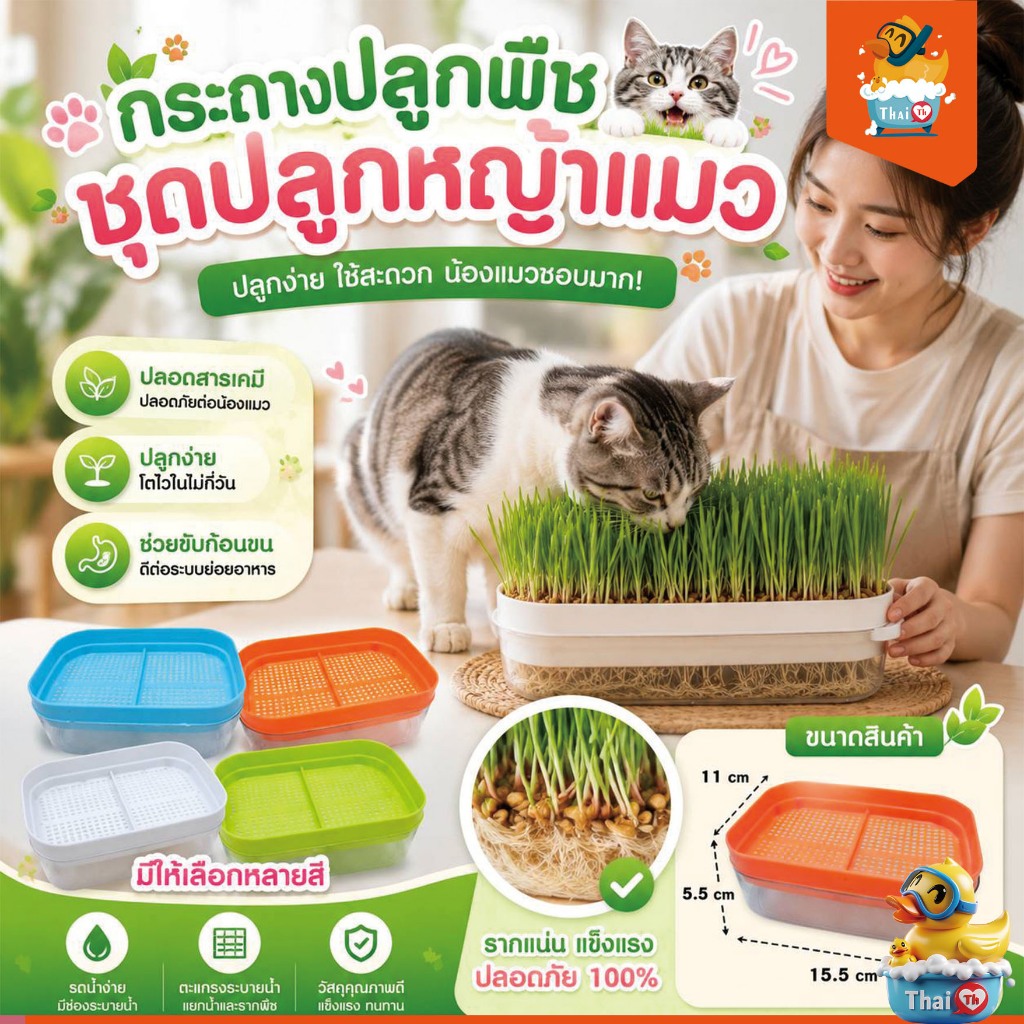 Thai.th กระถางปลูกพืช หญ้า สําหรับสัตว์เลี้ยง แมว ขนมขบเคี้ยว กล่องปลูกพืช PET-001
