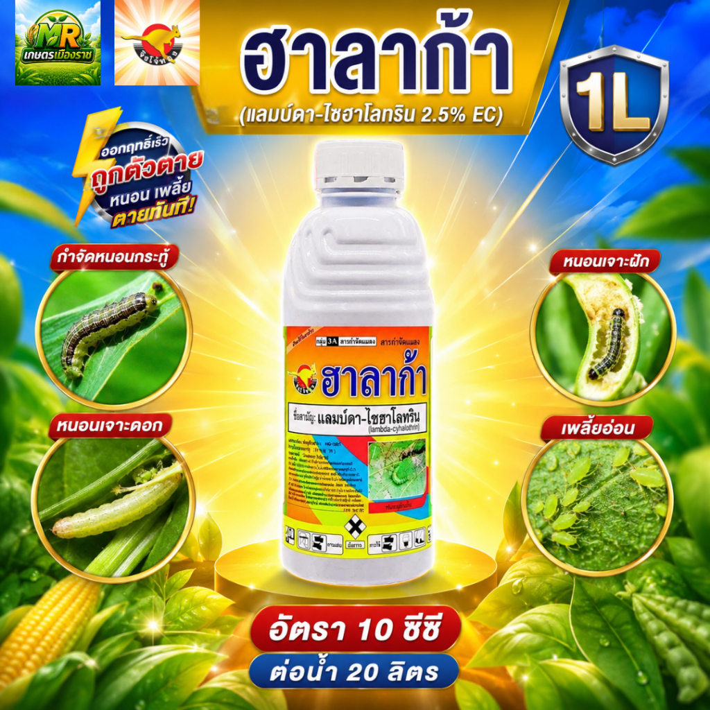 ฮาลาก้า (แลมบ์ดา-ไซฮาโลทริน 2.5% EC) 1L #เกษตรเมืองราช #จิงโจ้ทอง