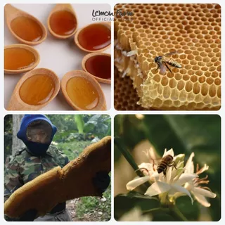 น้ำผึ้งป่าเดือนห้า Premium Wild Honey Lemon Farm น้ำผึ้งจากธรรมชาติ