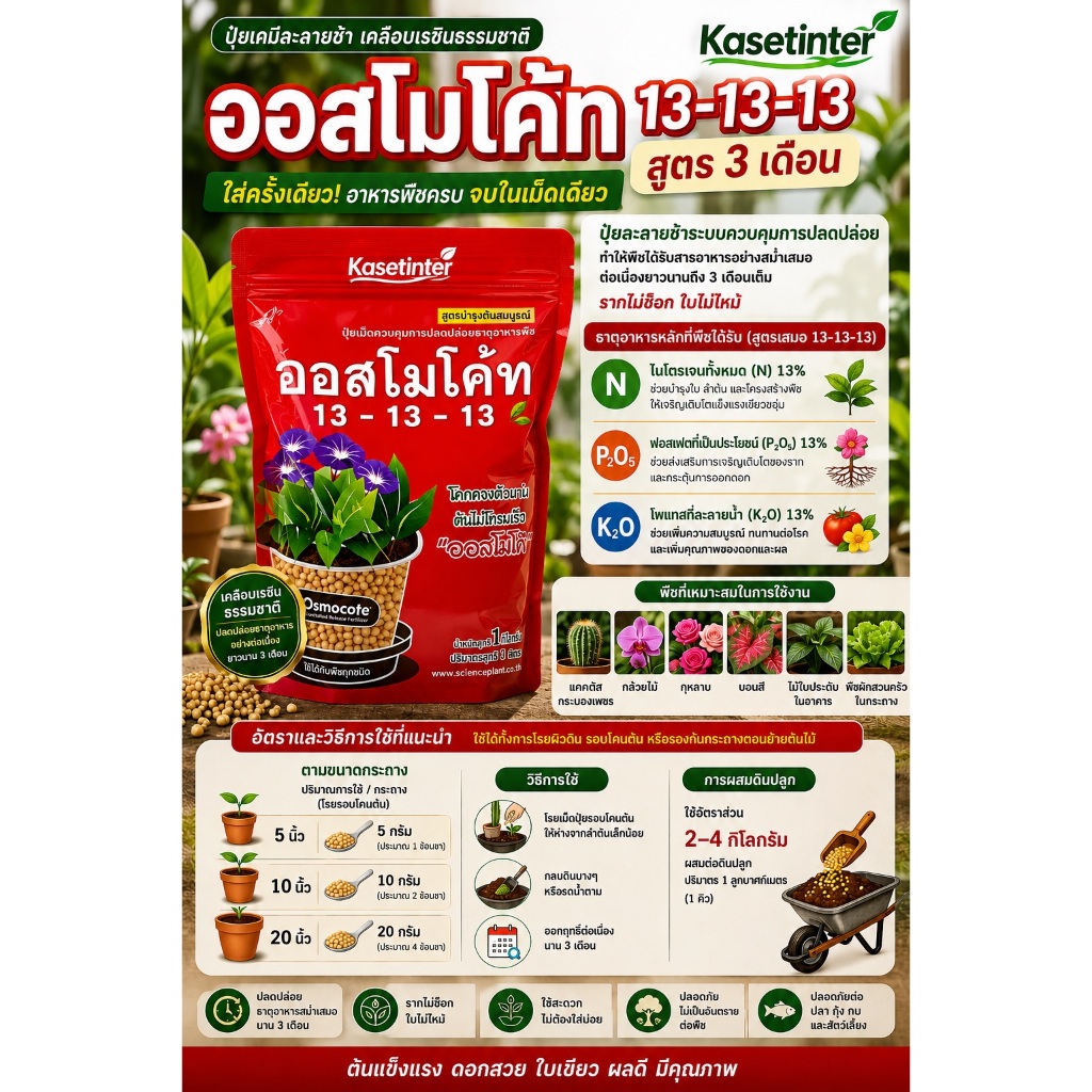 ออส รีฟิล สูตร 13-13-13 (Osmocote 3-13-13) ขนาด 1กก. ปุ๋ยสูตรเสมอ ปุ๋ยละลายช้า ปุ๋ยต้นไม้มงคล ปุ๋ยแคคตัส