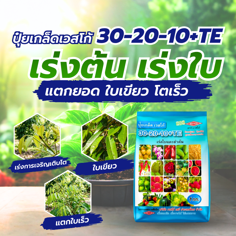 ปุ๋ยเกล็ดเวสโก้ สูตร 30-20-10+TE ขนาด 1 กก. ปุ๋ยเร่งใบ เร่งต้น บำรุงการเจริญเติบโต ละลายน้ำดี สำหรับพืชทุกชนิด