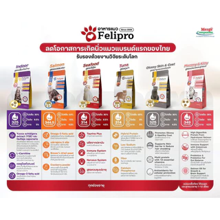 ( เซต 1 กก. x 3 ถุง แบ่งขาย ) Felipro อาหารแมว เฟลิโปร 5 รส ลดโอกาสการเกิดนิ่ว