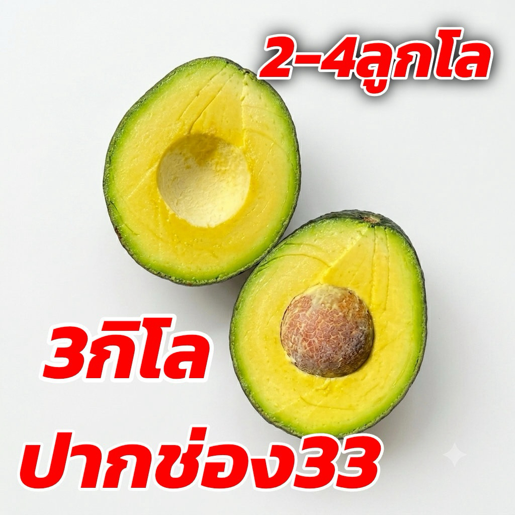 อโวคาโด พันธุ์ปากช่อง33 เนื้อเนียน มัน หนึบ ไม่ขม ลูกใหญ่2-4ลูกโล