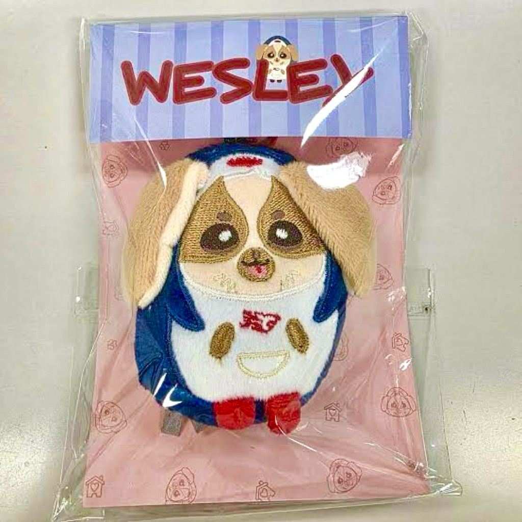 พร้อมส่ง/ของใหม่/ของแท้ - ตุ๊กตาจิ๋ว wesley tiny doll williamest วิลเลี่ยมเอส