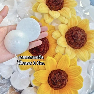 โฟมผ่าครึ่ง โฟมครึ่งซีก พร้อมส่งจากไทย ขนาด5,6cm.