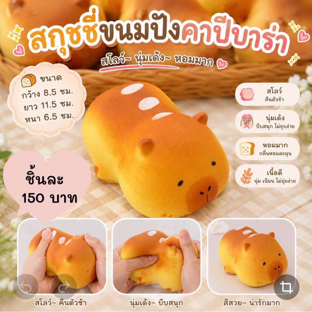 สกุชชี่ นุ่มสโลว์ พื้นตัวช้า