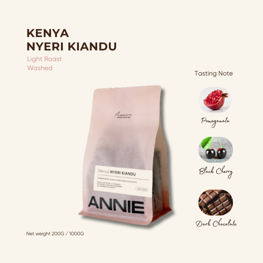 ANNIE - Kenya Kiandu Washed คั่วอ่อน