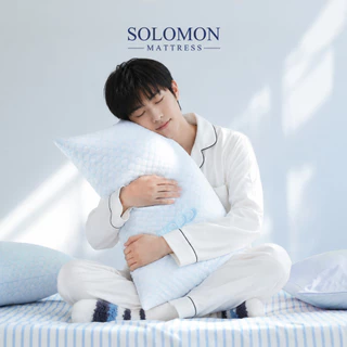 Solomon เซตหมอนหนุนเย็น 1 ใบ และหมอนข้างเย็น 1 ใบ หมอนสัมผัสเย็น ระบายอากาศดี