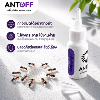 เจลกำจัดมด ANT OFF (แอนท์ออฟ) กำจัดมด ยกรัง สินค้าจัดส่งไว