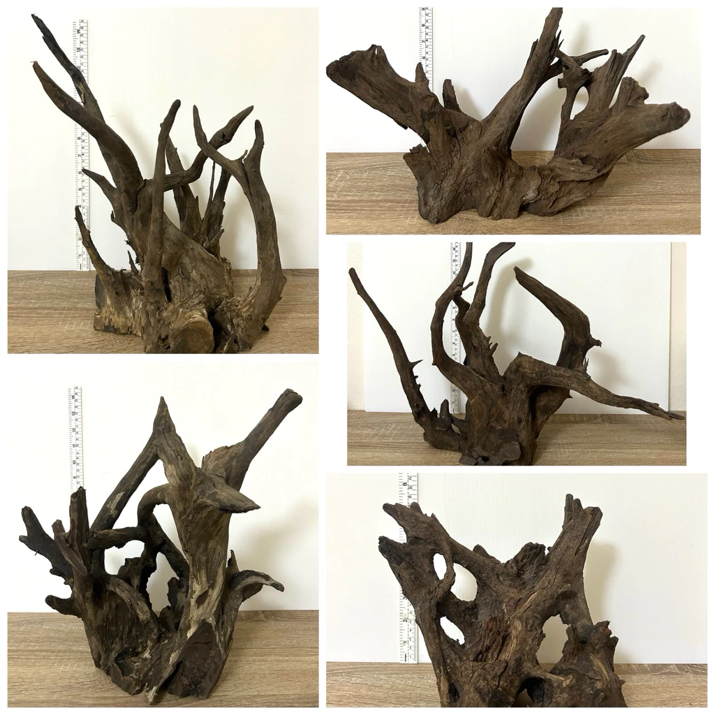 ราก กิ่ง ตอ ขอนไม้ จมน้ำ ตกแต่งตู้ปลา สวนถาด บอนไซ DIY drift wood