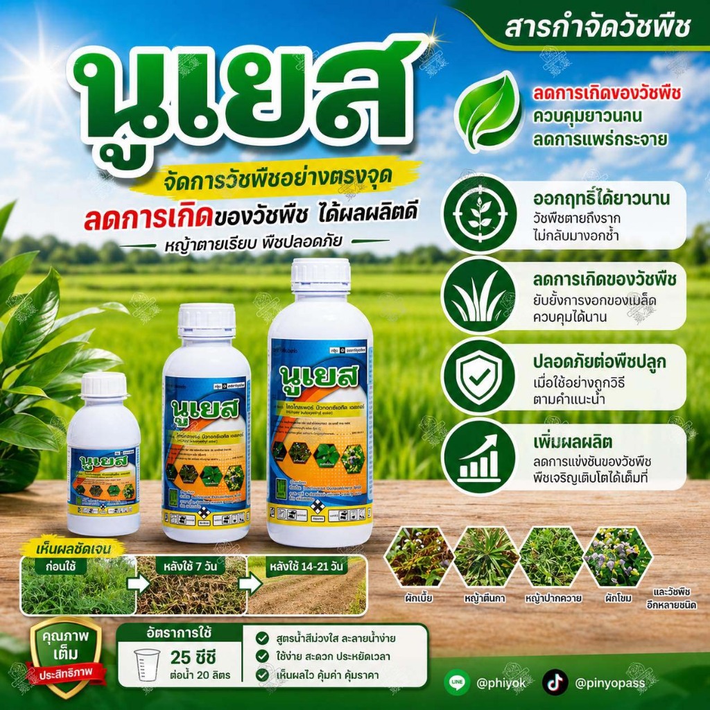 ไตรโคลเพอร์ บิวทอกซีเอทิลเอสเทอร์ นูเยส 250cc 500cc และ 1 ลิตร กำจัดหญ้าใบกว้าง กำจัดตอไม้ ไซทรอน