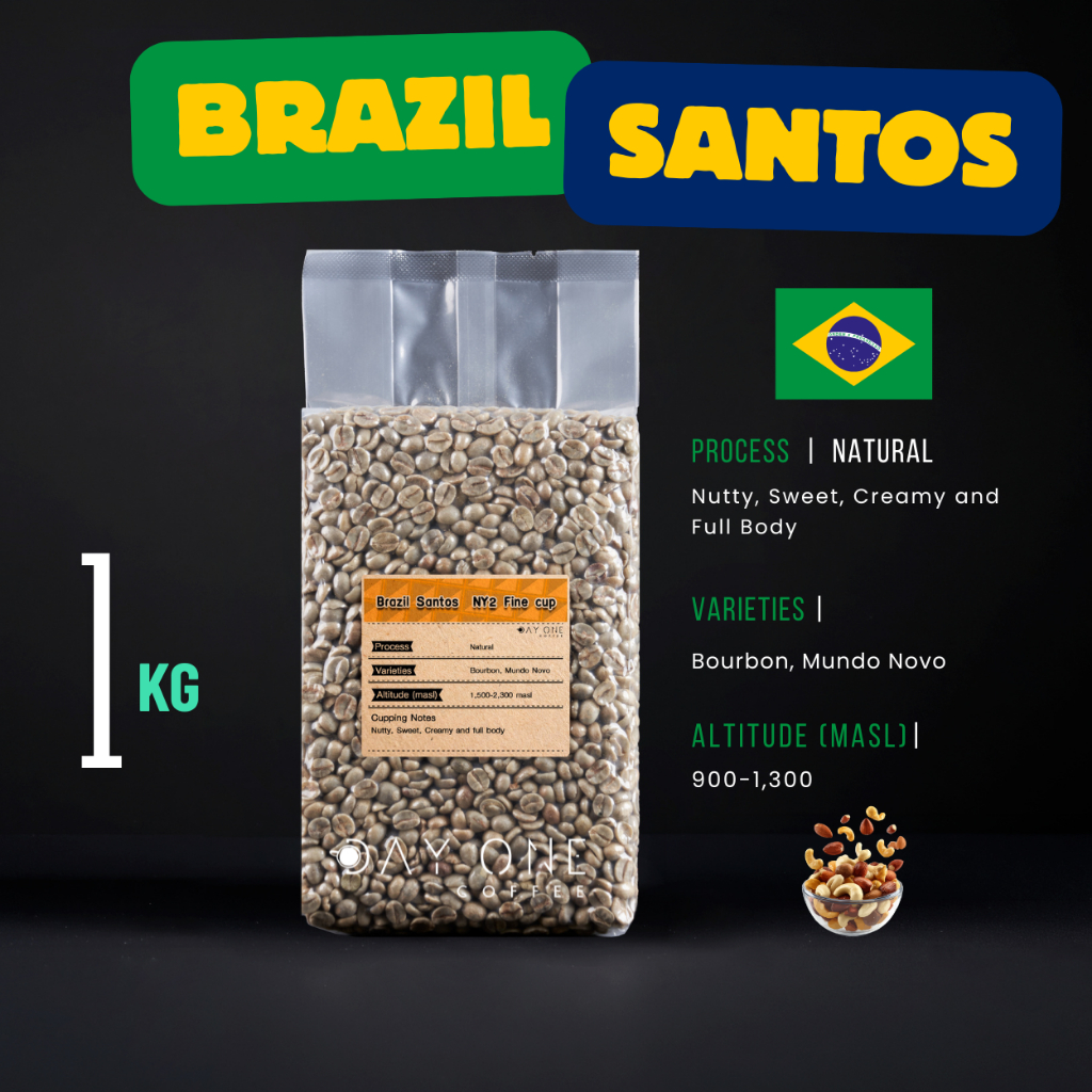 Brazil Santos sc17/18 NY2 Fine cup  DAY ONE COFFEE
