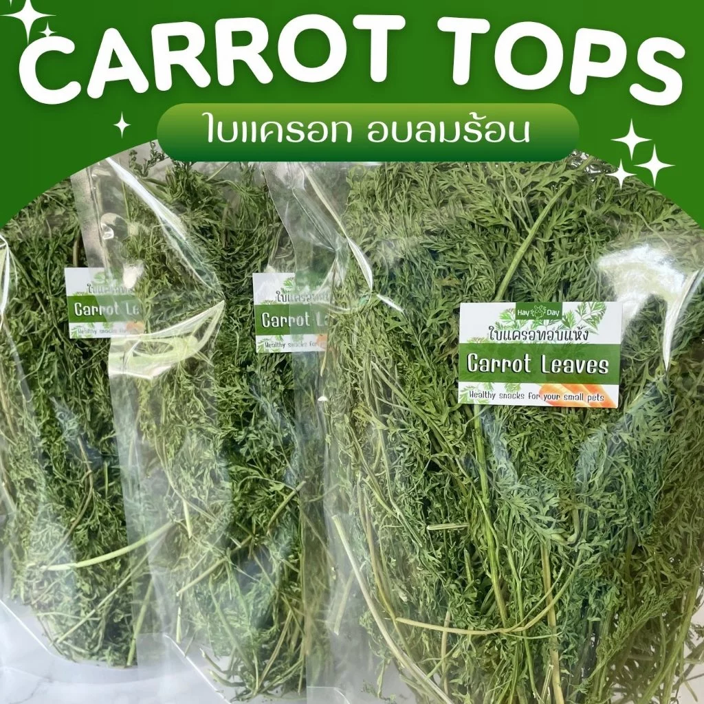 ✿ใบแครอท✿ Carrot Leaves อบลมร้อน คัดพิเศษ เกรดพรีเมี่ยม สำหรับกระต่ายและสัตว์ฟันแทะทุกชนิด