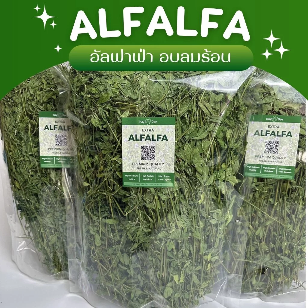 ✿หญ้าอัลฟาฟ่า✿ Alfalfa อบลมร้อน คัดพิเศษ เกรดพรีเมี่ยม สำหรับกระต่ายและสัตว์ฟันแทะทุกชนิด