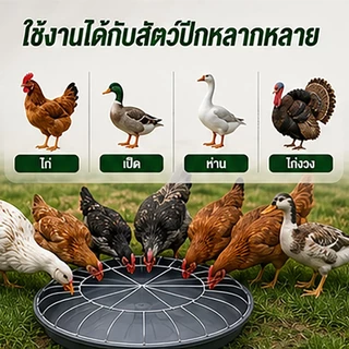 ถาดอาหารไก่ 60 ซม. 30 ช่อง พร้อมตะแกรงกันเหยียบ ถาดให้อาหารไก่ เป็ด ห่าน ลดอาหารหก พลาสติกหนา แข็งแรง สำหรับฟาร์มสัตว์ปี