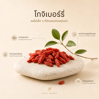 โกจิเบอร์รี่แห้ง คัดพิเศษ 100% ธรรมชาติ เม็ดใหญ่ สะอาด Goji Berry Superfood