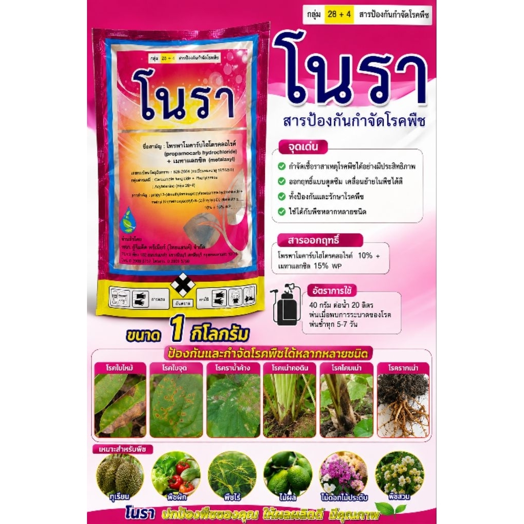 โนรา 1 กิโลกรัม โพรพาโมคาร์บไฮโดรคลอไรด์ + เมทาแลกซิล ป้องกันกำจัดโรครา เน่าคอดิน ราดโคน ทาแผลหรือฉีดพ่นได้