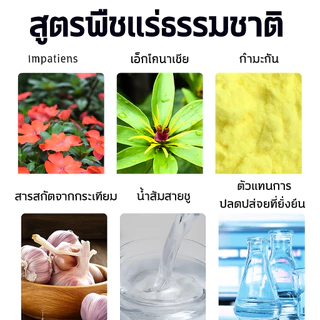 🐍วางปุ๊บ งูหนีทันที! ก้อนไล่งู 12 เม็ด ยาไล่งู ไม่เข้าใกล้ ไม่กลับมา แขวนหรือวางได้ ใช้ได้ในร่มและกลางแจ้ง ทนฝน ปลอดภัย