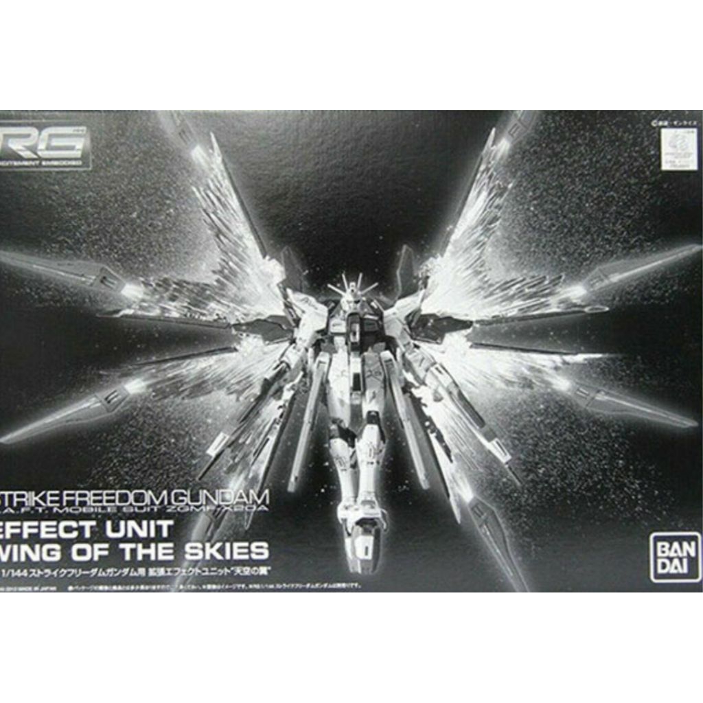 พาร์ทเสริม RG wing of the skies
