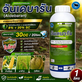 อันเดบารัน 1 ลิตร สารไซโปรโคนาโซล + อะซอกซีสโตรบิน ป้องกันโรคใบไหม้ ในข้าวโพด นาข้าว ทุเรียน 8+20% SC ยาเชื้อรา
