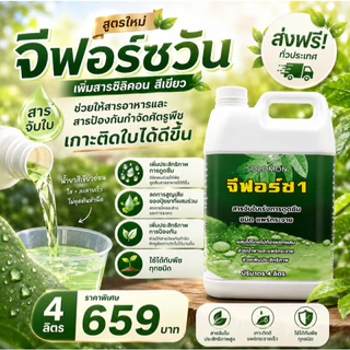 จีฟอร์ซวัน (แกลอน4ลิตร) สารจับใบ เร่งการดูดซึม จับใบ ไม่มีแอลกอฮอล์ ไม่ทำร้ายใบพืช