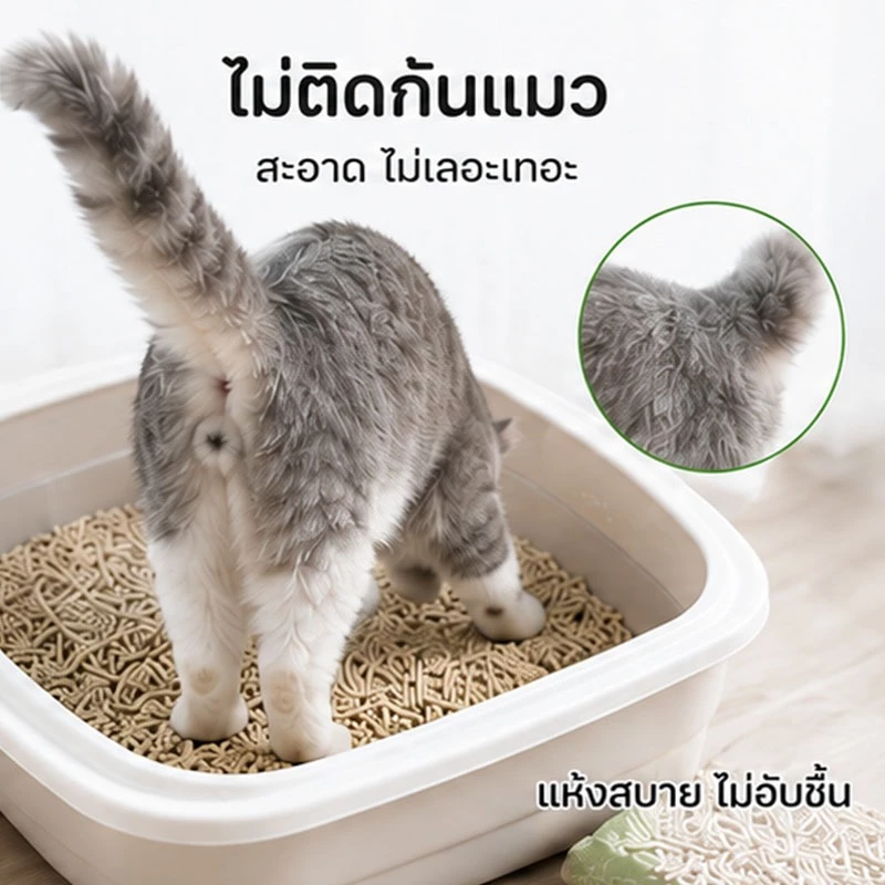 ทรายแมวเต้าหู้ ทรายแมว 6 ลิตร ผลิตจากกากถั่วเหลืองธรรมชาติ ไม่ติดเท้า สินค้าคุณภาพ ปลอดภัย thumbnail 8
