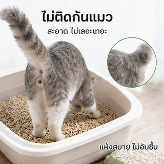 ทรายแมว ทรายเต้าหู้ 6L ทรายเบนโทไนท์ ทรายแมวผสม Cat Litter จับตัวเป็นก้อนได้ดี กรงเล็บแมวไม่ติด มี 3 แบบให้เลือก