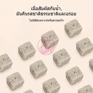 หนอนแดงฟรีซดราย อาหารปลาแห้ง หนอนอบแห้ง Freeze Dried อาหารลูกปลาทอง ปลากัด ปลาหางนกยูง ปลาบอลลูน