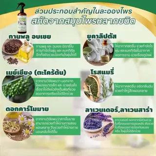 สเปรย์กำจัดไรฝุ่น Anti Mite Spray กำจัดป้องกันไรฝุ่น ฆ่าเชื้อ ปลอดภัยเด็กสัตว์เลี้ยง ที่นอน หมอน โซฟา 310มล. พร้อมส่งไทย