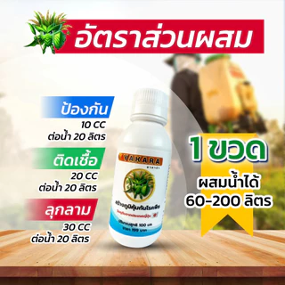 YAKARA วัคซีนพืช ยาคาร่า 100ml ป้องกันโรคพืช เชื้อรา ไวรัส แบคทีเรีย ไคโตซานพรีเมียมจากประเทศญี่ปุ่น