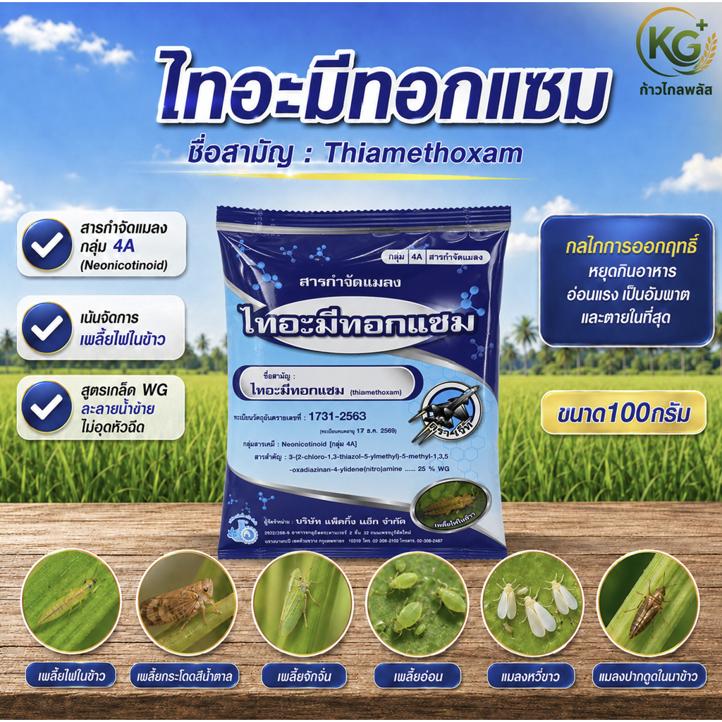 ไทอะมีทอกแซม ตราเจ็ท ( 100 กรัม ) สูตรเย็น ดูดซึม คุมเพลี้ย แมลงปากดูด