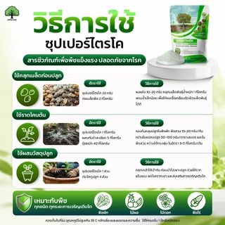 ซุปเปอร์ไตรโค ตราเทพมงคล แพ็ค 10 ซอง ไตรโคเดอร์มา ป้องกัน กำจัดเชื้อราและโรคพืช ขนาด 500 กรัม ชนิดผง