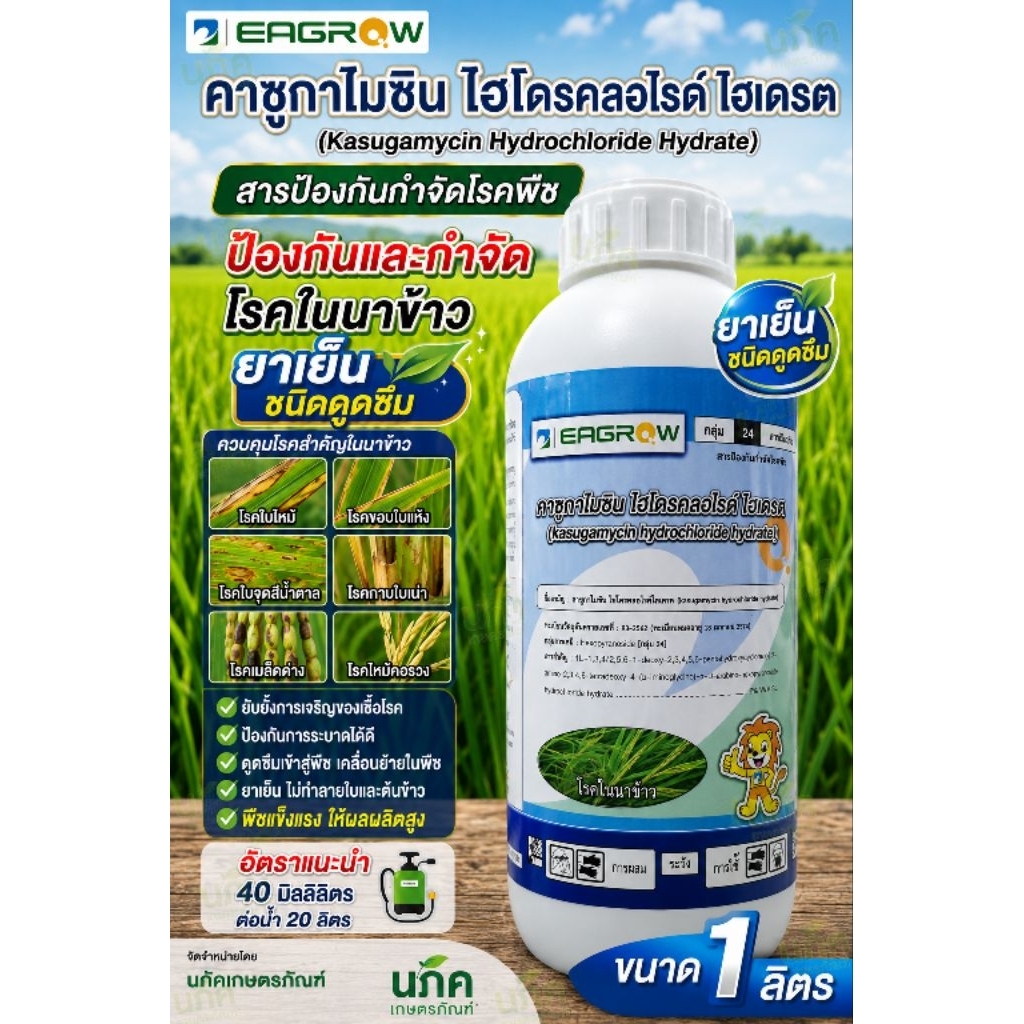 คาซูกา ไมซิน ไฮโดรคลอไรด์ ไฮเดรต 2% ขนาด 1 ลิตร ป้องกันกำจัดโรคพืช โรคขอบใบแห้ง ใบไหม้ กาบใบแห้ง ใบจุดสีน้ำตาล คาซูก้า