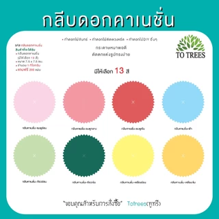 Totrees กลีบดอกไม้กระดาษ ดอกคาเนชั่น ทำดอกไม้จันทน์ ดอกไม้DIY มีให้เลือก 13 สี ครึ่งโล และ1กิโลกรัม/สี รหัส กลีบคาเนชั่น