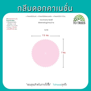 Totrees กลีบดอกไม้กระดาษ ดอกคาเนชั่น ทำดอกไม้จันทน์ ดอกไม้DIY มีให้เลือก 13 สี ครึ่งโล และ1กิโลกรัม/สี รหัส กลีบคาเนชั่น