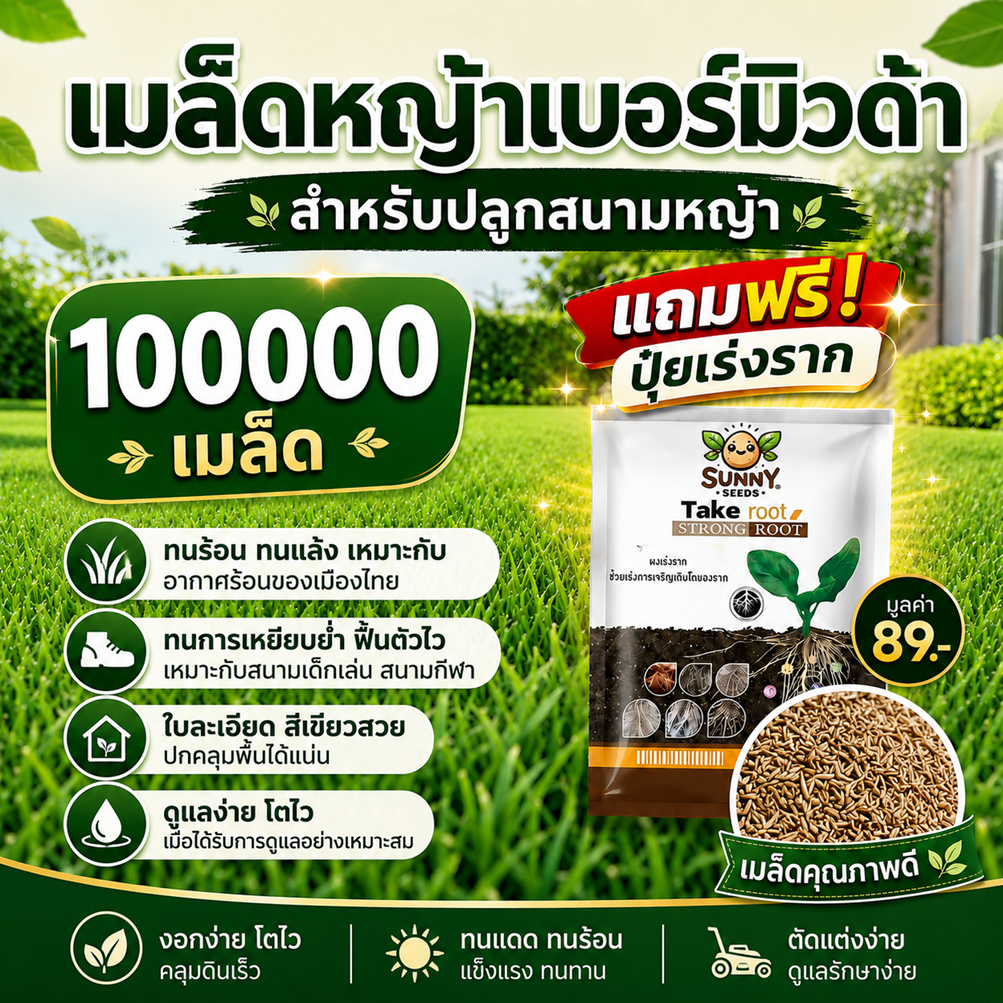 เมล็ดหญ้าเบอร์มิวด้า 100,000 เมล็ด แถมฟรีปุ๋ยเร่งราก มูลค่า 89 บาท หญ้าสนามทนร้อน ทนเหยียบ โตไว