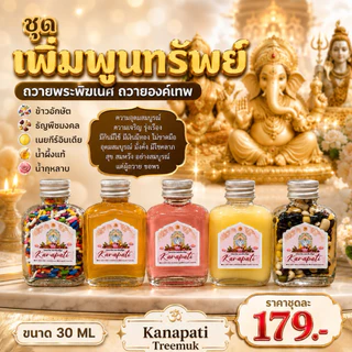 เซตเพิ่มพูนทรัพย์ ถวายองค์เทพ