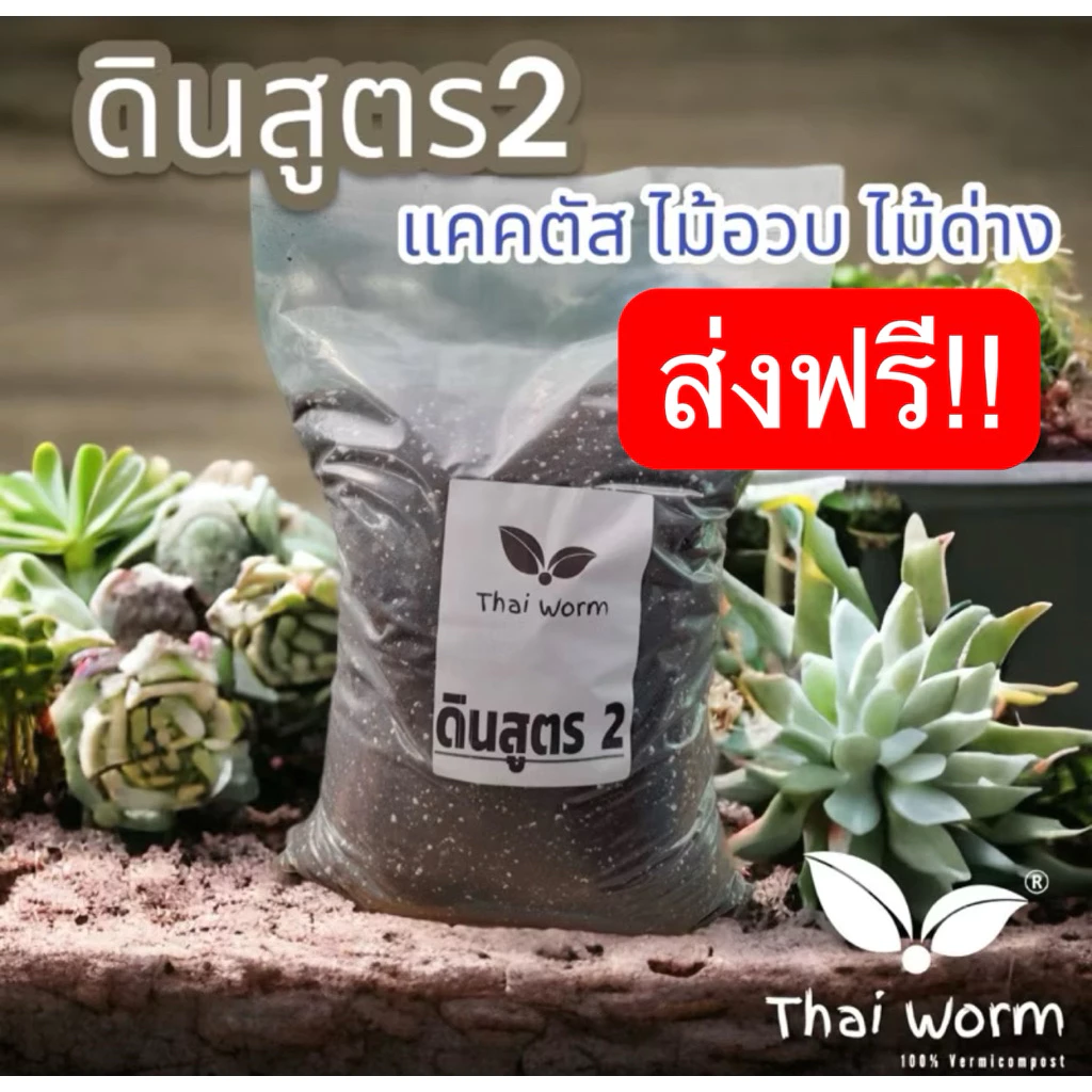 ส่งฟรี‼️ดินสูตร2 สูตรโปร่งพิเศษ สำหรับ แคคตัส ไม้ด่าง ไม้ฟอกอากาศ ไม้อวบน้ำ ไม้มงคลต่างๆ ดินปลูก