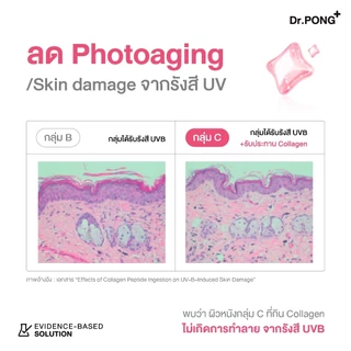 [ของแถมโปรโมชั่น Midmonth 8.15 งดจำหน่าย] Dr.PONG Jumbo Jellylab Collagen Dipeptide 10,000 mg