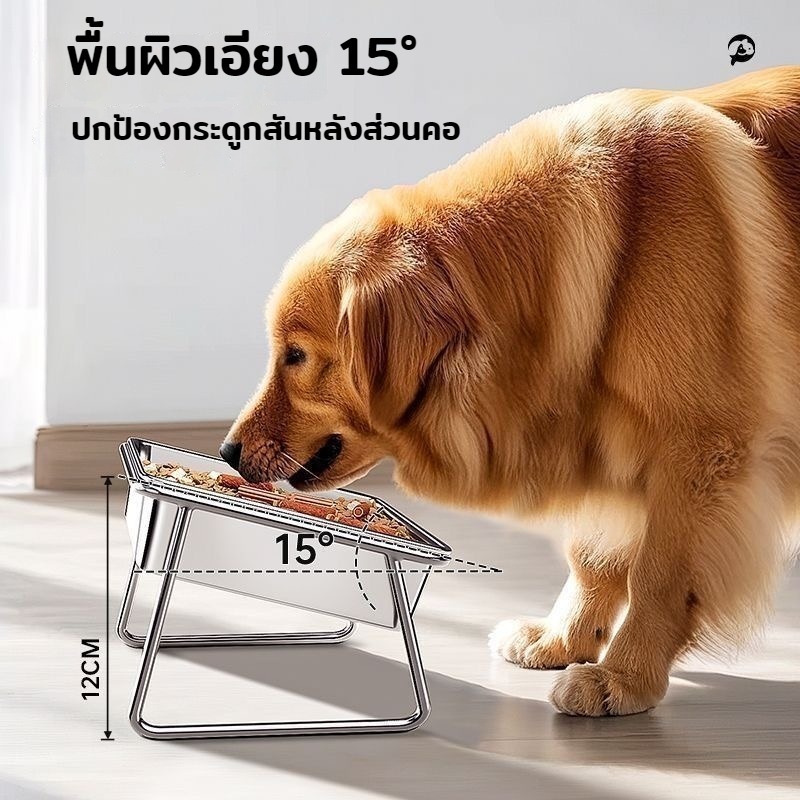 ชามสัตว์สแตนเลส เกรดอาหาร ฐานยกสูงรองรับคอ แยกน้ำอาหาร ล้างง่ายไร้สนิม สุนัขแมวทุกขนาด ทนทานปลอดสาร ชามป้อนแมวอยู่คอนโด