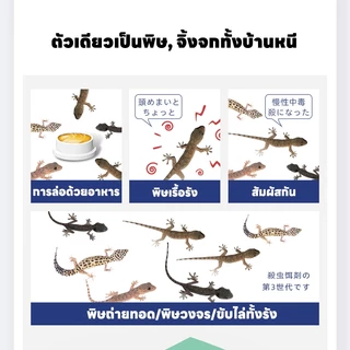 กำจัดตุ๊กแกหมดจด！NANA ยาฆ่าจิ้งจก ยาไล่ตุ๊กแก ไล่จิ้งจก ตุ๊กแก เหมาะกับใช้ในบ้าน 1 กล่อง 24 เม็ด