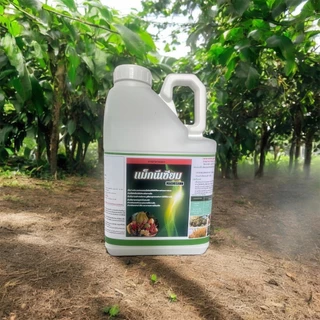 เเม็กนีเซียม 5ลิตร🌳เสริมธาตุกำมะถัน เหล็ก แมงกานีสในรูปคีเลท (EDTA)+อะมิโน ช่วยให้ใบพืชเขียวเข้มกระตุ้นการกินปุ๋ยพืชโตไว