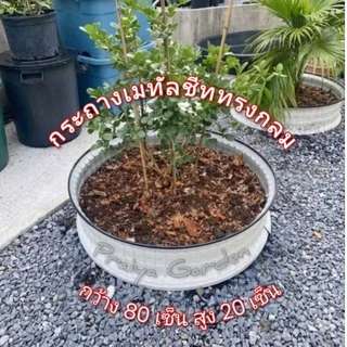 กระถางเมทัลชีท DIY ทรงกลม ผลิตจากเหล็กเมทัลชีท เหล็กหนา 0.35 มิล รับสั่งผลิตตามขนาด (ความสูงจะแตกต่างกันเล็กน้อย)